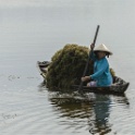 Mekong
